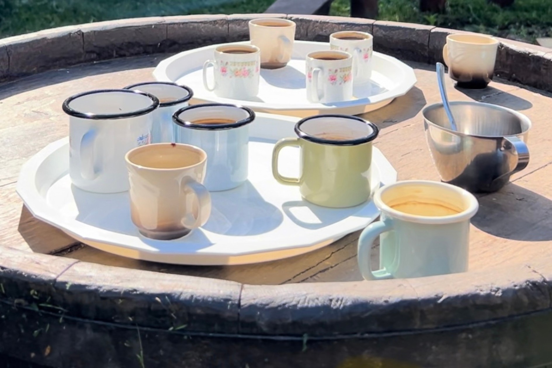 Kafa u prirodi